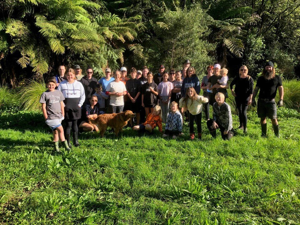 Volunteer efforts help native birdlife take flight in Mangakotukutuku Gully image
