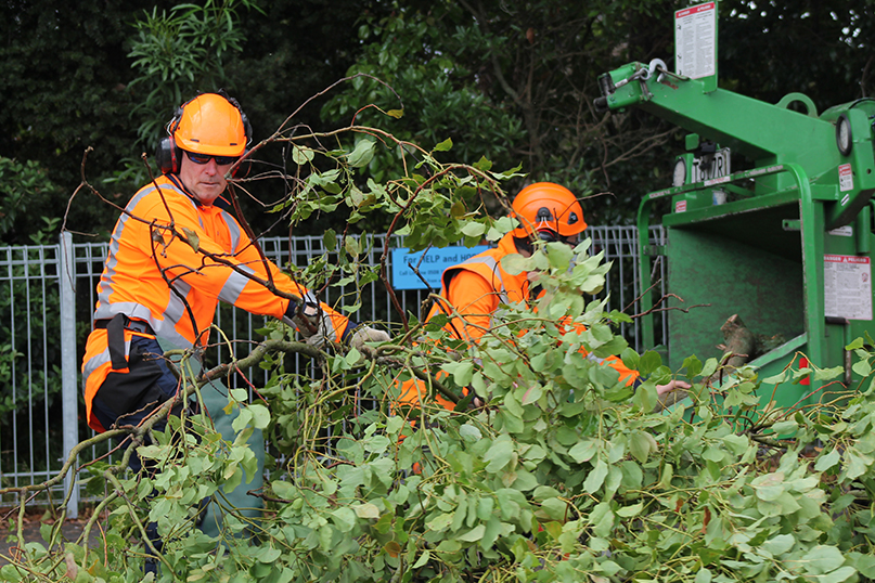 Tree pruning operation for Hukanui Rd image