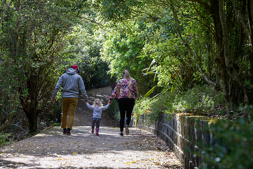Path and bridge work in Ranfurly Park image