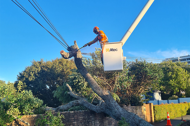 Council calls for patience as cyclone clean-up continues | Hamilton ...