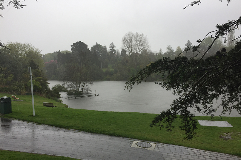 Repairs to path in Matakanohi Reserve image